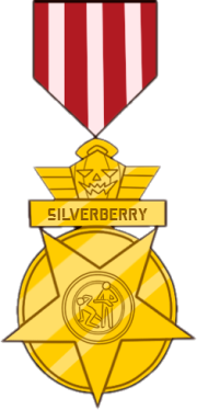 Pioneer Medal