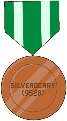 Bronze Medal of Analytic